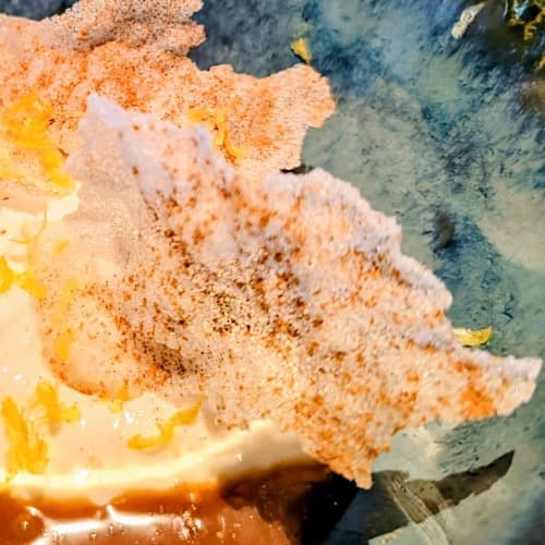 Guelra - Ocean to Table, Lisboa