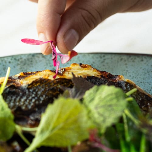 Guelra - Ocean to Table, Lisboa