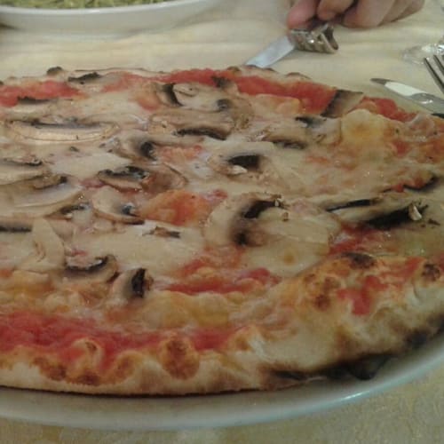 il Papalino, Roma