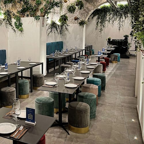 Planta, Palermo