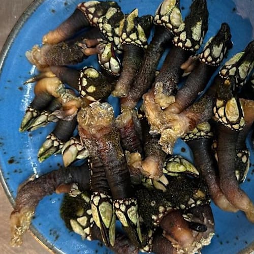Marisqueira do Páteo, Lisboa