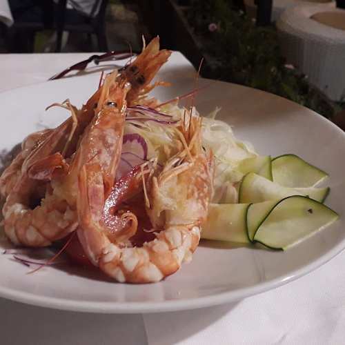 Pachitos Ristorante, Carpi