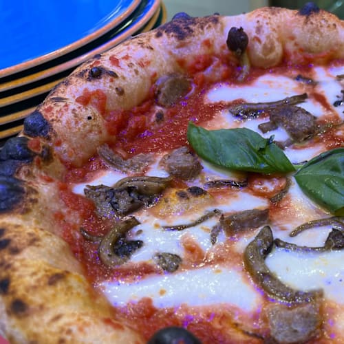 Sacco e Farina - Il Mare in Cucina, Rimini