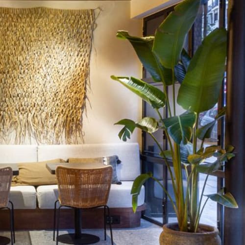 Delica Bistro, Madrid