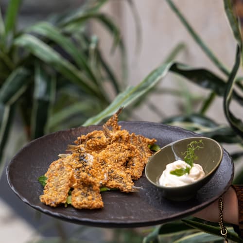 Leonardi, Albano Sant'Alessandro