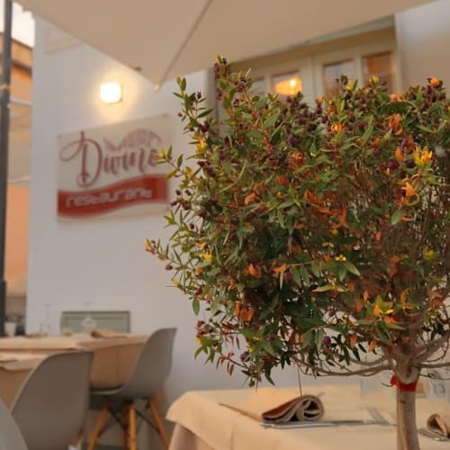 Divino Restaurant, San Vito Lo Capo
