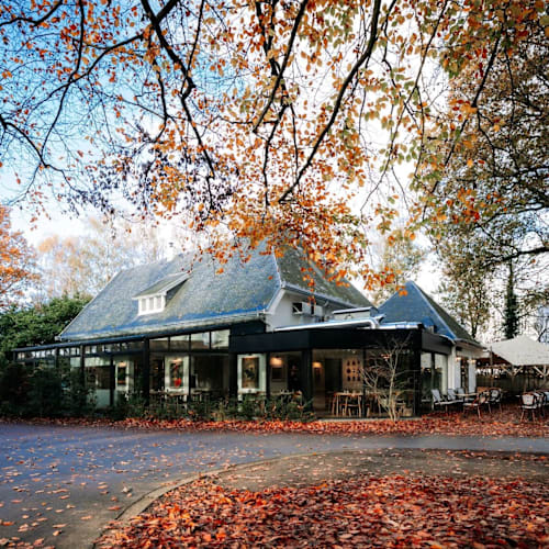 Brasserie Woods, Antwerpen