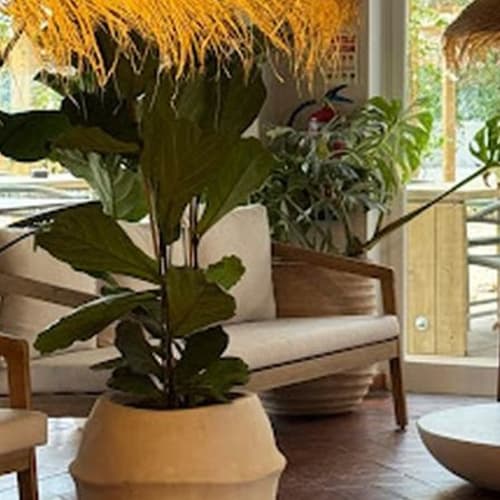 CoolAres - Restaurante Brunch, Colares