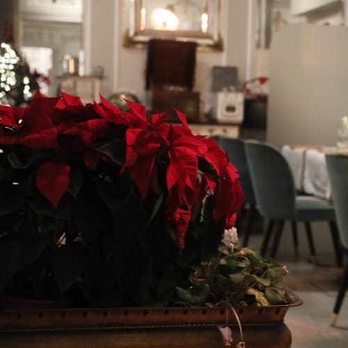 Ristorante Retrò, Firenze