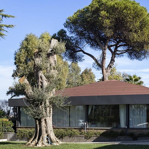 Villa Girasole, Roma