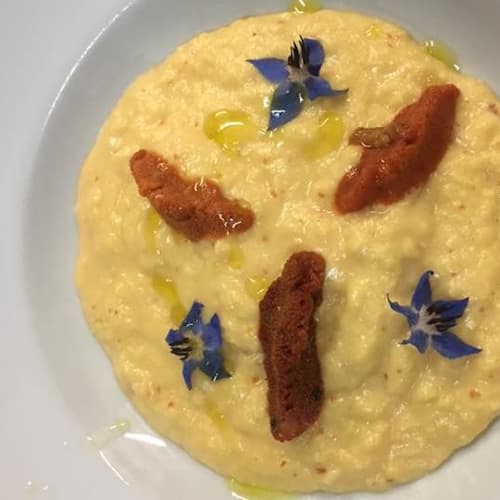 Au Clair de la Vigne, Bandol