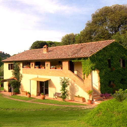 Ristorante L'Oliveto - Agriturismo Nobile, Montepulciano