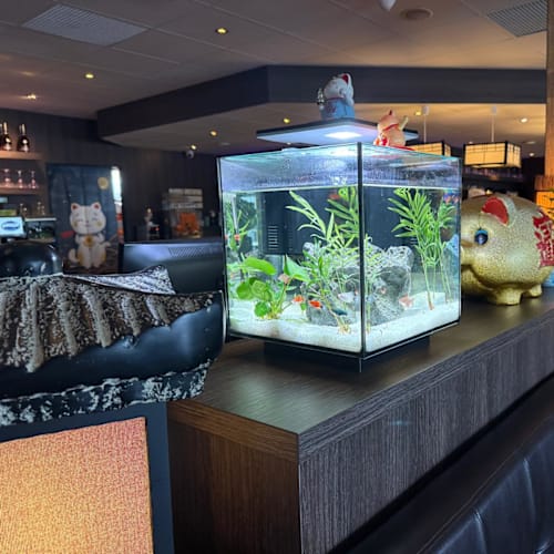 Mori Kitchen Sushi & Grill Restaurant, Almere