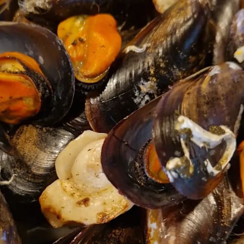 Degustacions Padua, Barcelona