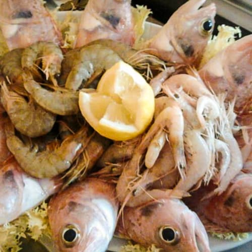 Trattoria La Vecchia Botte, Ugento