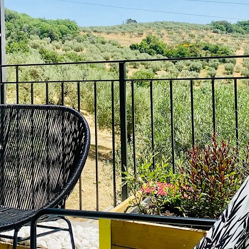 Agriturismo Libera Lepre - Cucina & Cantina, Magione