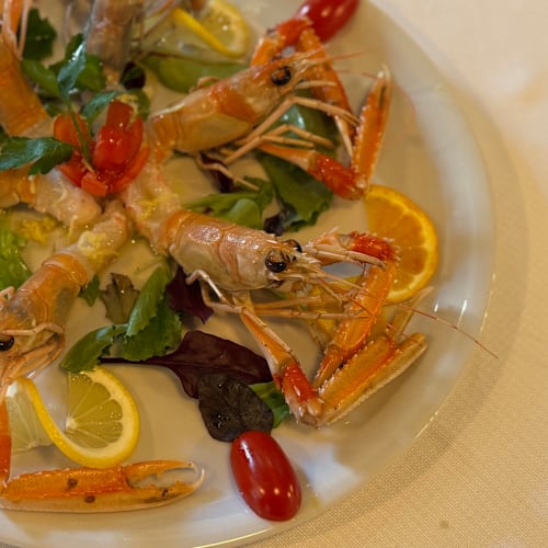 Trattoria la Divina Comida, Venezia