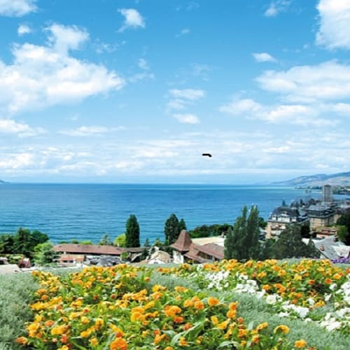 Restaurant le Pavois, Montreux