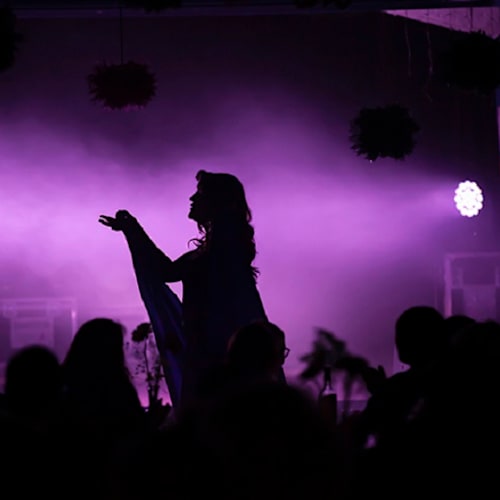 Le Dîner Spectacle La Bonbonnière, Lille