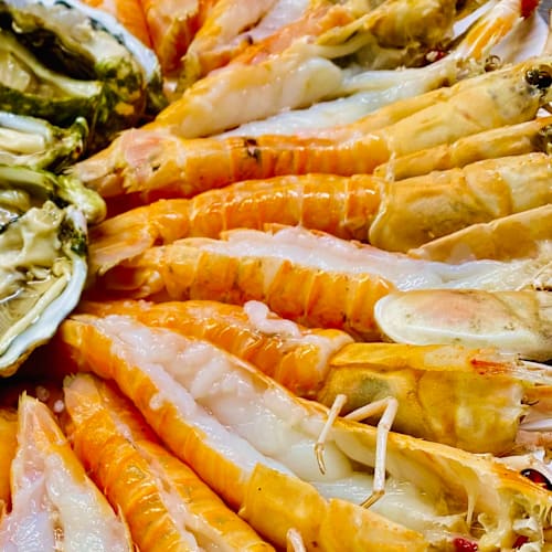 Vela Blu, Riccione