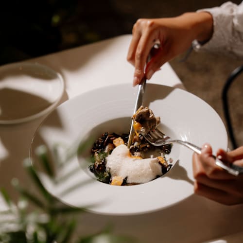 MOLITOR- Jardin d'hiver, Paris