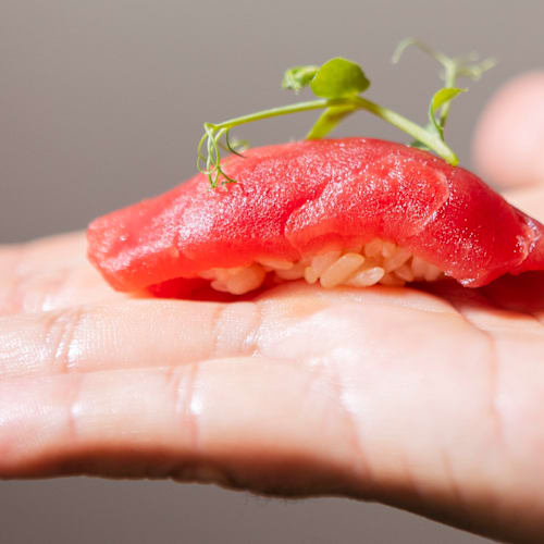 Shibui Tenerife, Santa Cruz de Tenerife