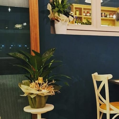 La Pizzateca, Capezzano Pianore