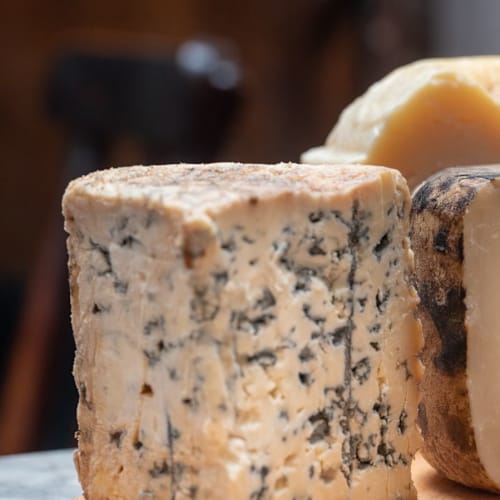 La Cua Curta Sants, Barcelona