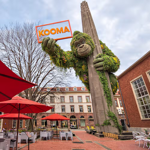 Kooma Brasserie & Magasin, Strasbourg