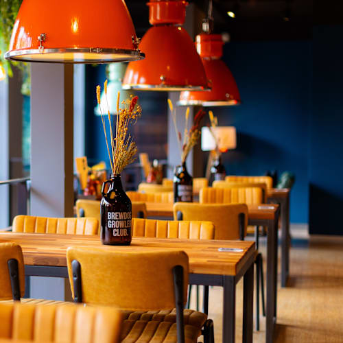BrewDog Rotterdam, Rotterdam