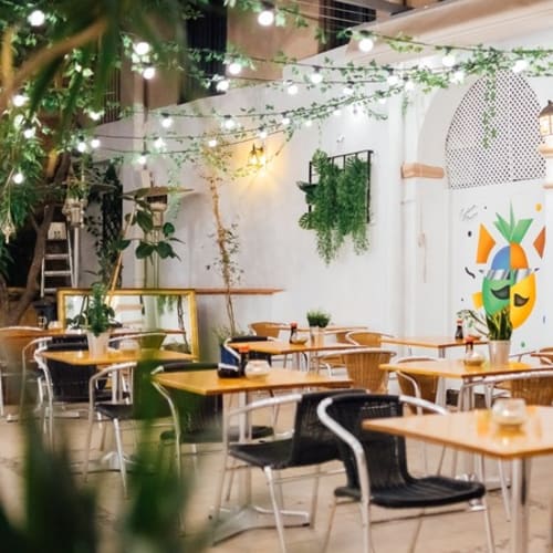 Señor Piña Terraza Gótico, Barcelona