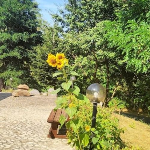 Agriturismo L'annunziata, Petronà