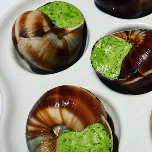 Le Vin Rouge Maître-Cavista, Orpesa