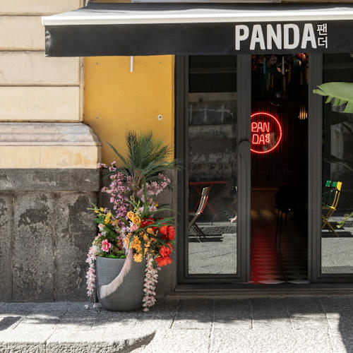 Panda, Catania