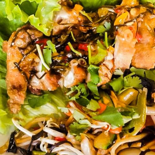 Tandoor and Wok, Lyon