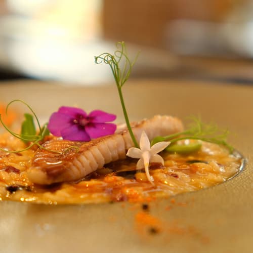 Kensho, Torino