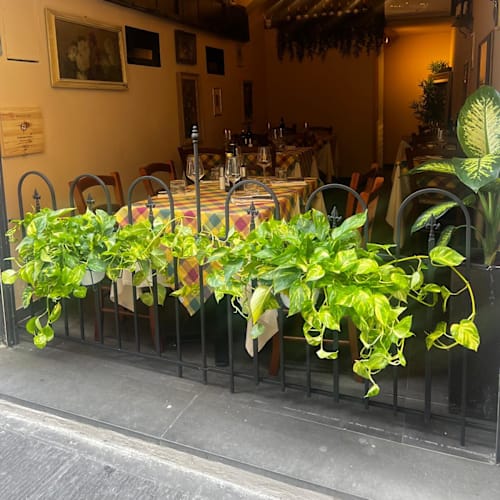 Fuoco Toscano, Firenze