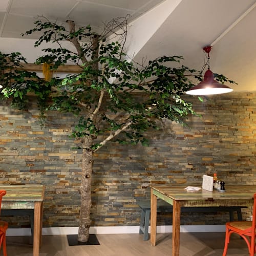 Luncheonette Cafe, Lausanne