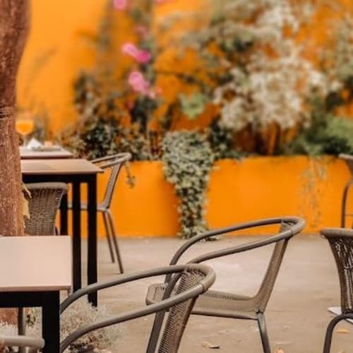 Tulipa Restaurante, Loures