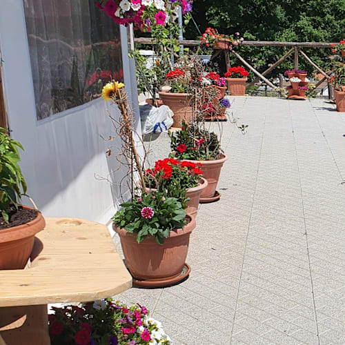 Trattoria Belvedere, Amatrice