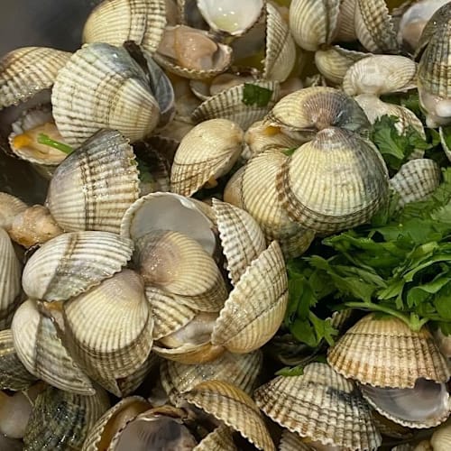 A Peixaria do Bairro, Coimbra