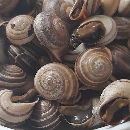 Tasquinha do Gavetas, Abrantes