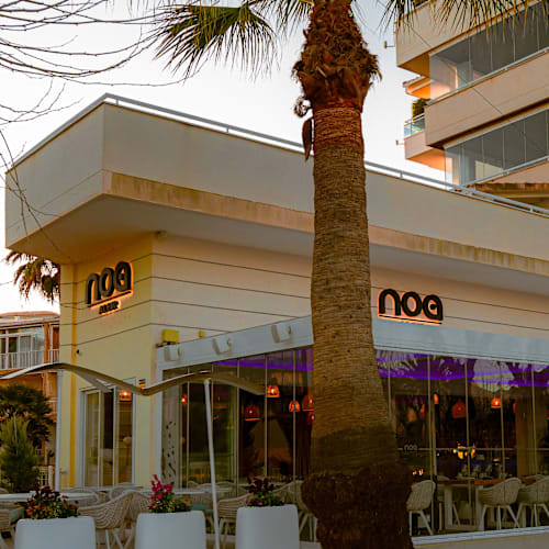 Noa Albir, l'Alfàs del Pi