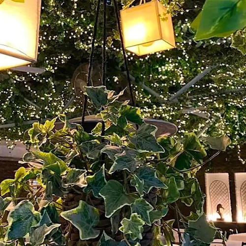ANTICA OSTERIA CAVALLINI, Milano