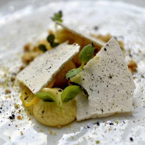 Campelli by Vartivar Jarkezian, Paris