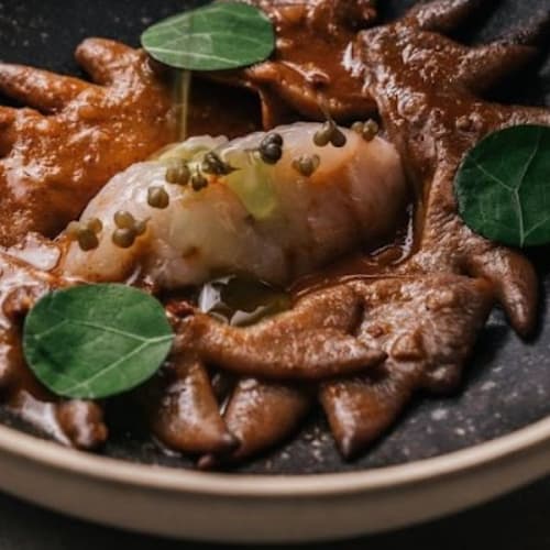 Besta Barcelona, Barcelona