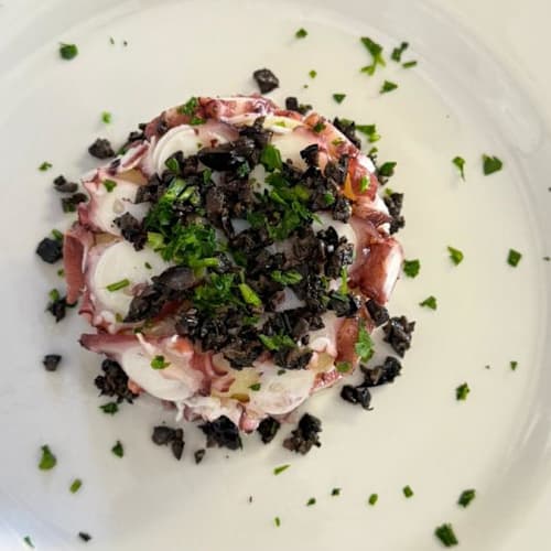 Brezza Chianina, Senigallia