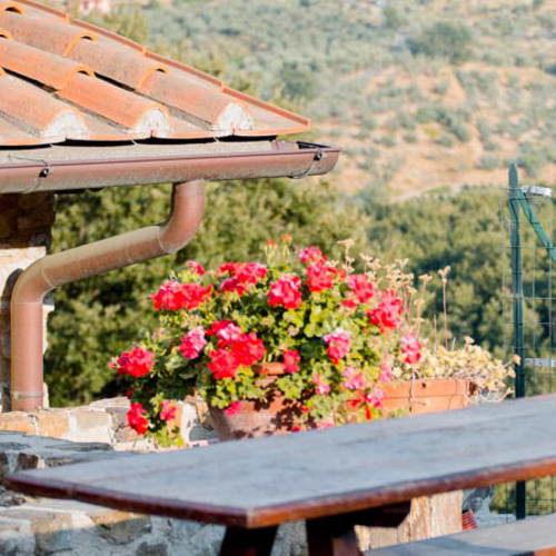 Agriturismo Casa Belvedere, Carmignano