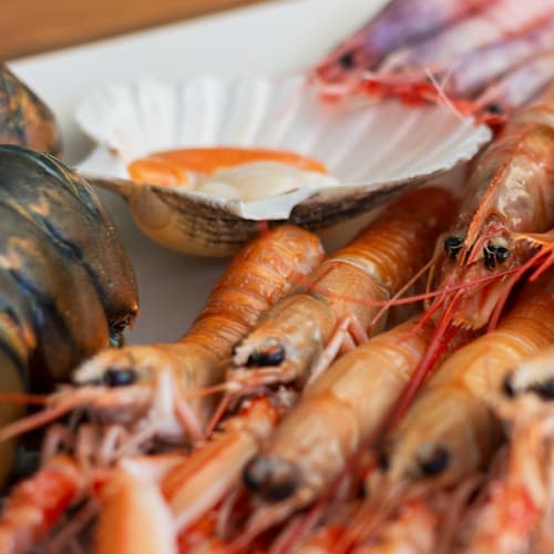 OsteMar, Lido di Jesolo