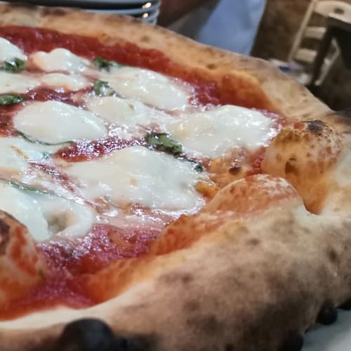Osteria Leone, Apollosa